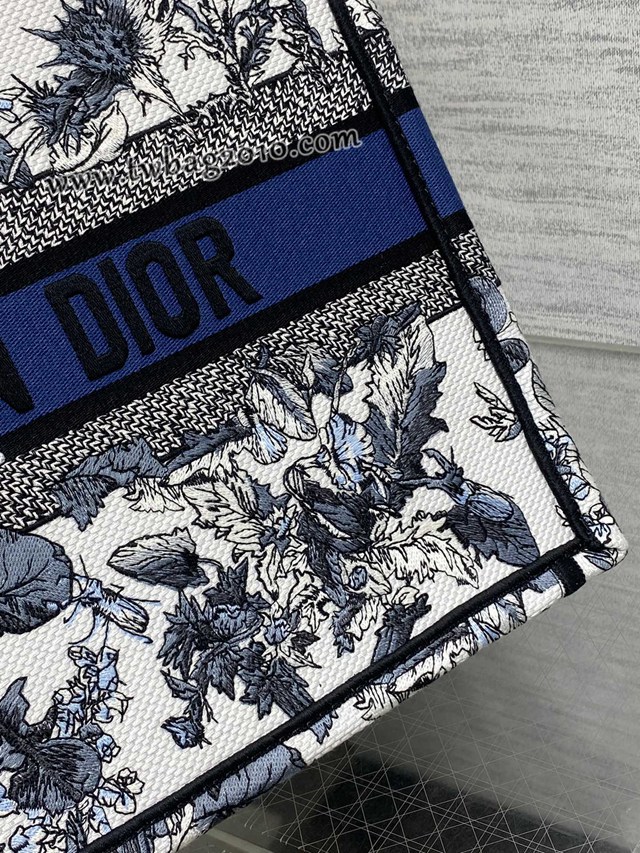 Dior专柜秋冬系列新款托特包迪奥高仿原单Tote包Around the world小号手提购物袋 djfk1691